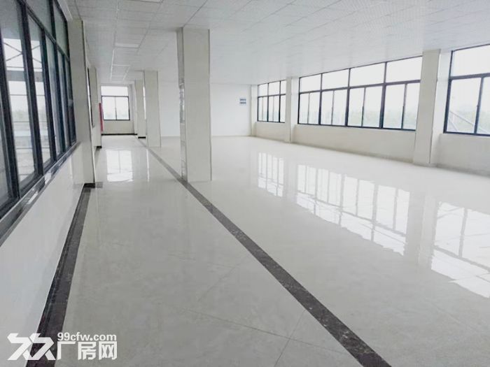 芜湖无为城东经济开发区4200方优质厂房出租-图3