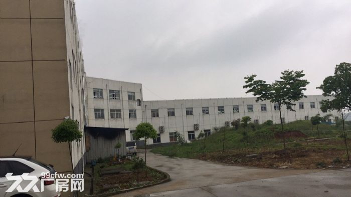 一楼厂房9元/平方米/月低价出租-图6